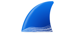 Wireshark