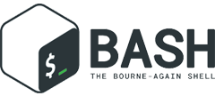 Bash Scripting